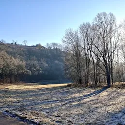 Walheim